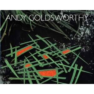  Andy Goldsworthy (9783861501282) Books