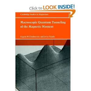  Macroscopic Quantum Tunneling of the Magnetic Moment 