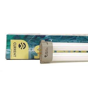 Current USA 27W Dual Daylight Compact Fluorescent Lamp 