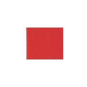  Race Flag 30X30 Inch with Sleeve (End of Race) Patio, Lawn & Garden