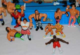 Lot of 31 Titan Wrestlers & Wrestling Ring Vintage WWF WWE Action 