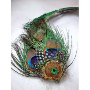  Large Peacock Feather Clip: Everything Else