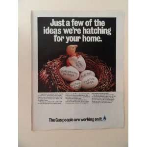   association , print ad (chick hatching.) Orinigal Magazine Print Art