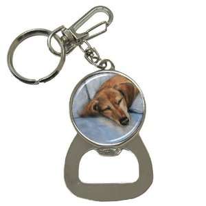 Limited Edition Violano Bottle Opener Keychain Dachshund Dog Sleeping