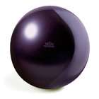 weighted balls body ball workout dvd and air pump included