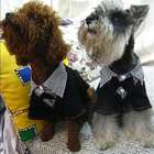   3006 14 Male Dogs Two Piece Suit w  Black Bow Tie Pet Clothing Size 14