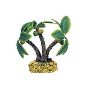  3 PACK PALM TREE ISLAND 4, Size SMALL (Catalog Category 