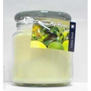  Hand Made Scented Soy 16oz Classic Jar Candle   Citrus 