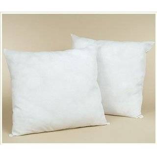 Set of Two Feather/Down EURO 26x26 Pillow Form 3.2 Pounds each