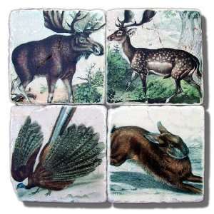 Lodge Decor Wildlife Moose & Deer Stone Marble Coasters  