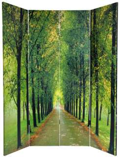 ft. Tall Double Sided Path of Life Room Divider  