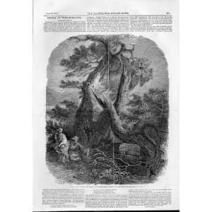  Wood Engraving  Death Of Children Of Noire 1844
