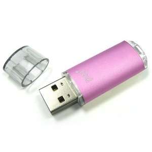   Disk 4GB Secure USB 2.0 Flash Drive (Silver)