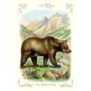    Paper poster printed on 20 x 30 stock. Grizzly Bear