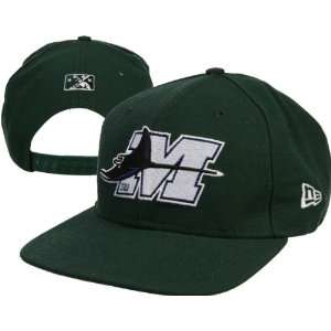   Michigan Devil Rays Adjusable Home Cap by New Era: Sports & Outdoors