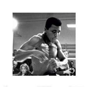 Muhammad Ali Training   Poster (16 x 16) 