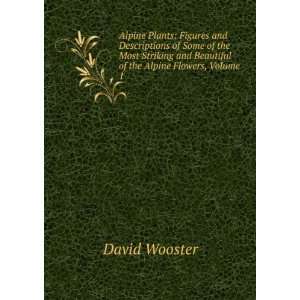   Most Striking and Beautiful of the Alpine Flowers, Volume 1 David