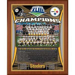  Healy Pittsburgh Steelers Super Bowl Xliii Champions 13X16 