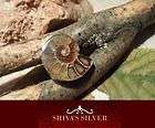Zauberhafter Ring mit Ammonit Fossil Tigerauge Ø 19,0 mm Artikel im 