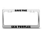 turtle license plate  