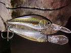 Daiwa Shad Master 6FCrankbait Lure in Color Baby Bass Great for Bass 