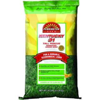 Fescue Grass Seed from Pennington     Model 148443