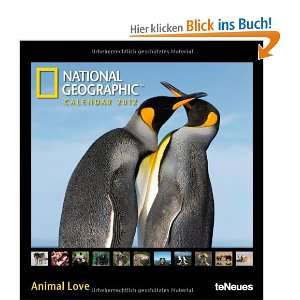 National Geographic Calendar Animal Love 2012: .de: National 
