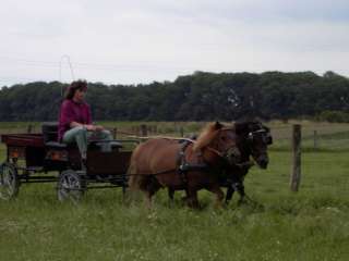 Kutsche für Shettys und Ponys in Nordrhein Westfalen   Velbert 