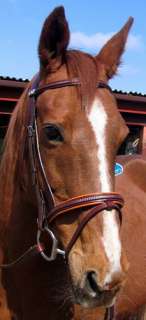 STUBBEN 161 SQUARE RIBBED Padded GERMAN Leather Bridle  