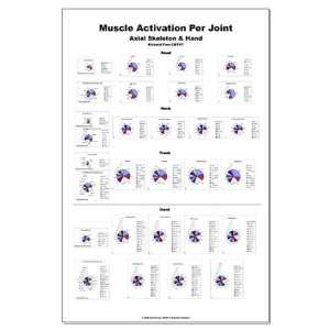  Muscle Activation   Axial Skeleton Large Poster by 