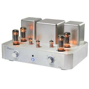  Raysonic   SP 88 Integrated Tube Amplifier: Electronics
