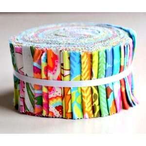  Amy Butler SOUL BLOSSOMS Jelly Roll 2.5 Fabric Quilting 