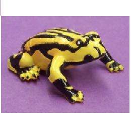   Frog   Science & Nature Australia vinyl miniature toy animal  
