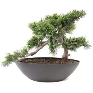  Artificial Cedar Bonsai 15 Inches Tall