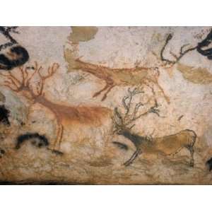  20,000 Year Old Lascaux Cave Painting Done by Cro Magnon 