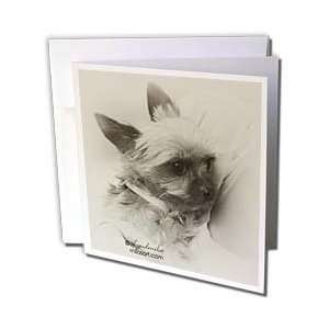  Milas Art Dogs   Chihuahua   Greeting Cards 6 Greeting 