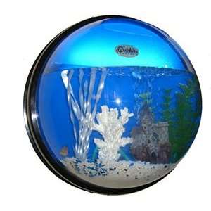 Circle Shape Bubble Hanging Aquarium Complete Self Contained Wall Fish 