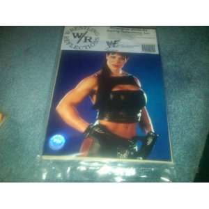 WWF WWE Wrestling Reflections Chyna Joan Laurer D Generation X 