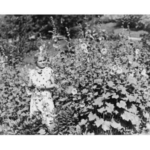 1931 photo Dorothy Canfield Fisher standing in garden 