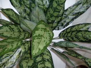 Japanese Evergreen Silk Artificial Flowers Plant 6233  