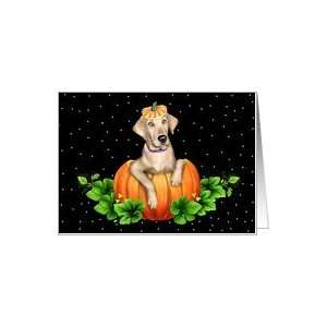  Yellow Lab Dog Pumpkin Halloween Card: Health & Personal 