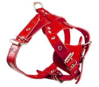 Leather Dog Harness 18 22 Small French Bulldog  