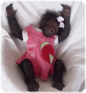   Prototype KiKi ~ Life Size Reborn Baby Gorilla monkey doll kit  