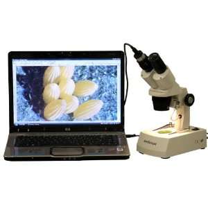 AmScope 20x 40x 80x Stereo Microscope with USB Digital Camera  