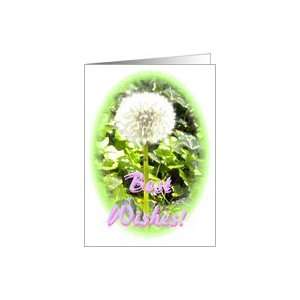  Client Birthday Best Wishes Dandelion Wish Flower Card 